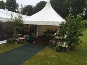 Nathan Horry Madundu Pagodas  